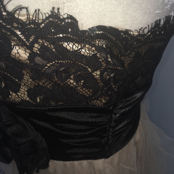 Roberta Nude / Black Lace Ruffle Dress - Picture 5 of 7